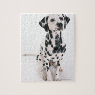 Dalmatian Pussel