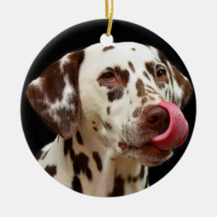 Dalmatian slicka för hund julgransprydnad keramik