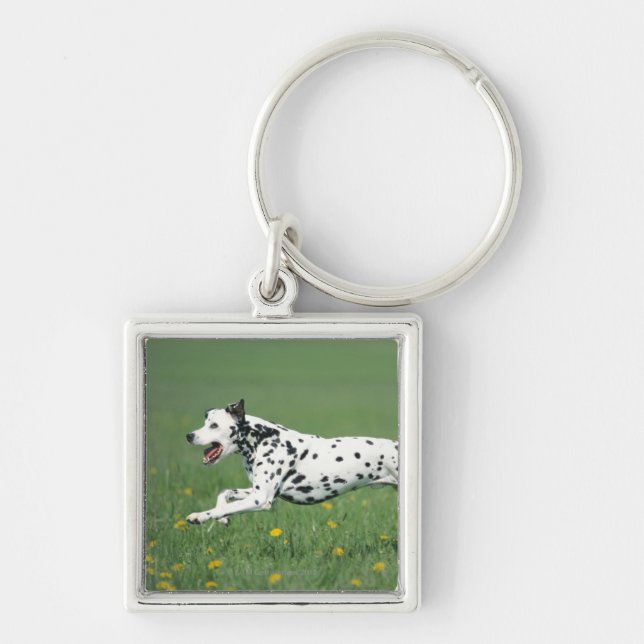Dalmatian spring fyrkantig silverfärgad nyckelring (Framsidan)