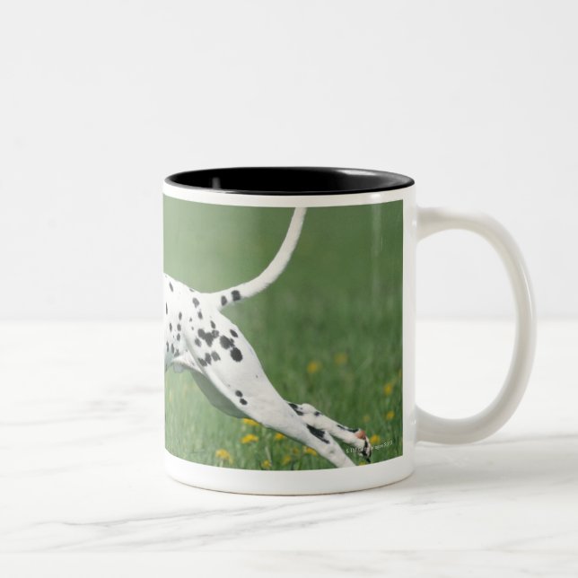 Dalmatian spring Två-Tonad mugg (Höger)