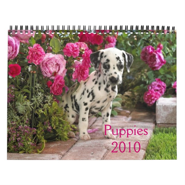Dalmatian-Täcka Puppies2010 Kalender (Omslag)
