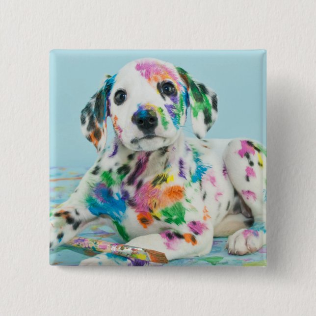 Dalmatian valp knapp (Framsida)