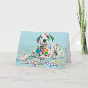 Dalmatian valp kort