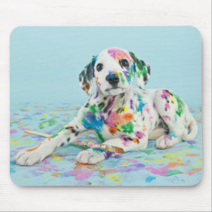 Dalmatian valp musmatta