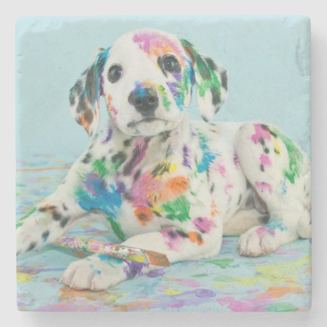 Dalmatian valp stenunderlägg (Framsidan)