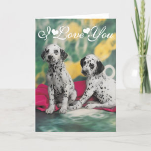 Dalmatian-valpar Bild Jag älskar dig. Kort