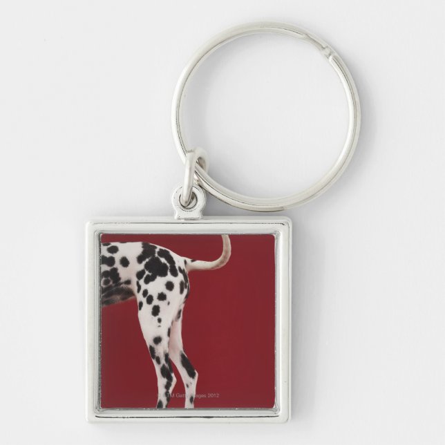 Dalmatianbaksida Fyrkantig Silverfärgad Nyckelring (Framsidan)