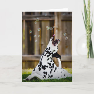 Dalmatianen med bubblar kort