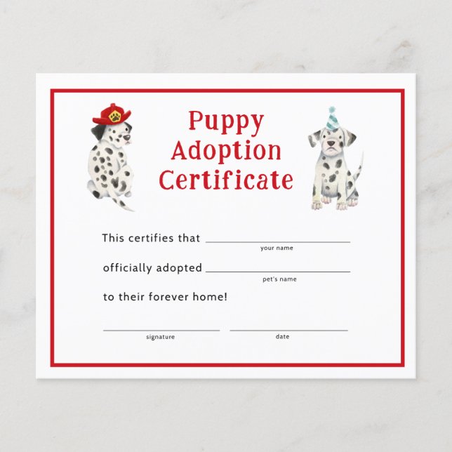 Dalmatians Boy Party Puppy Adoption Certificate (Framsida)