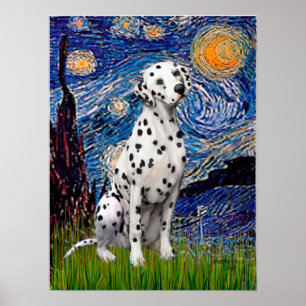 Dalmatien 1 - Starry Night (Vert.) Poster