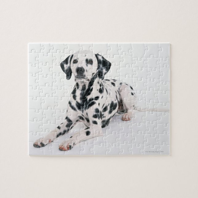 Dalmatien 4 pussel (Horisontell)