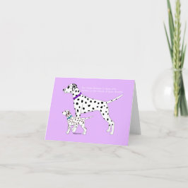 Dalmatien Bevacan Dreams Tack Kort
