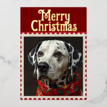 Dalmatien christmas
