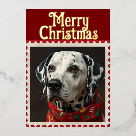 Dalmatien christmas