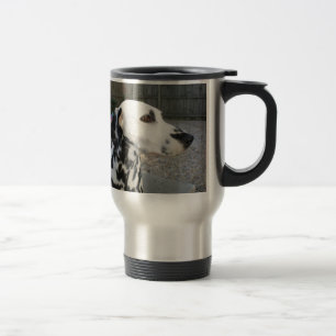 Dalmatien - Cindy's Reina Resemugg