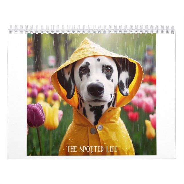 Dalmatien, det fläckiga livet kalender (Omslag)