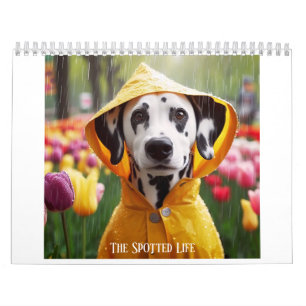 Dalmatien, det fläckiga livet kalender