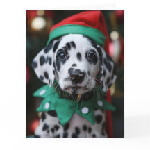 Dalmatien Elf Puppy-julkort