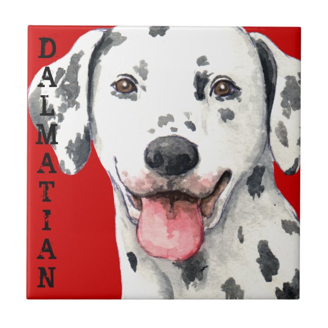 Dalmatien Färg Block Kakelplatta (Framsidan)