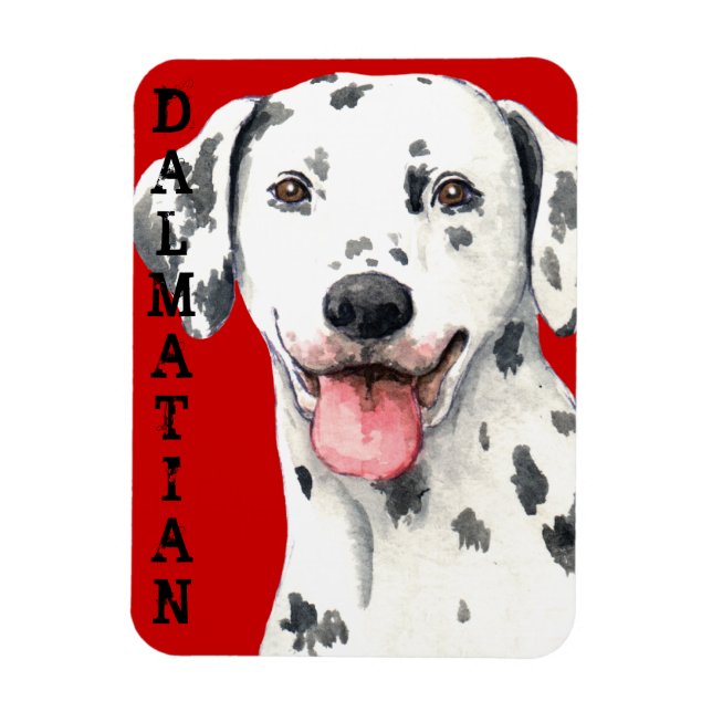 Dalmatien Färg Block Magnet (Vertikal)
