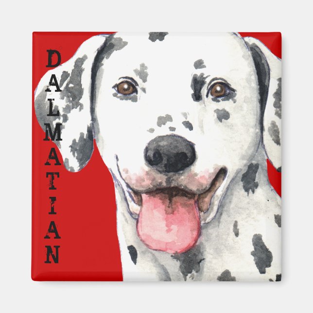 Dalmatien Färg Block Magnet (Framsidan)