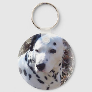 Dalmatien Fire Hund Keychain Nyckelring