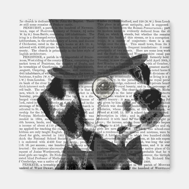 Dalmatien, Formal Hound och Hat Magnet (Framsidan)