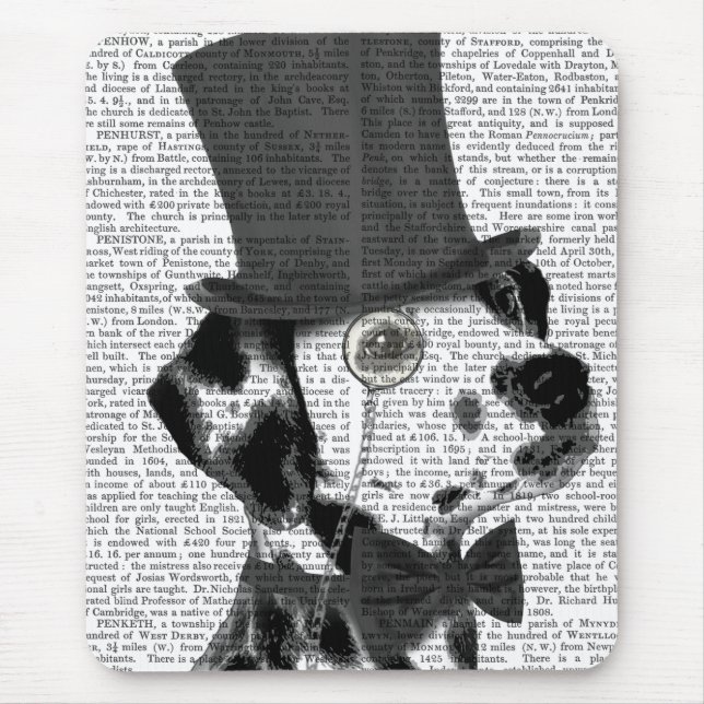 Dalmatien, Formal Hound och Hat Musmatta (Framsidan)