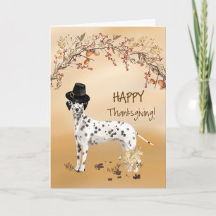 Dalmatien Funny Pilgrim Hat Thanksgiving Kort