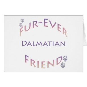 Dalmatien Furever Hälsningskort