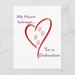 Dalmatien Heart-Tillhören Vykort
