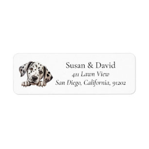 Dalmatien Hund aveln Djurälskare Returadress Etikett