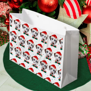 Dalmatien Hund aveln jul