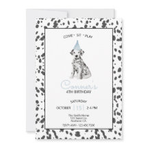 Dalmatien Hund Blue Kom Sit Play