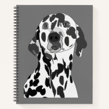 Dalmatien Hund Pet