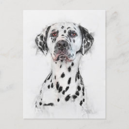 Dalmatien Hund Porträtt Vykort