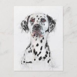Dalmatien Hund Porträtt Vykort