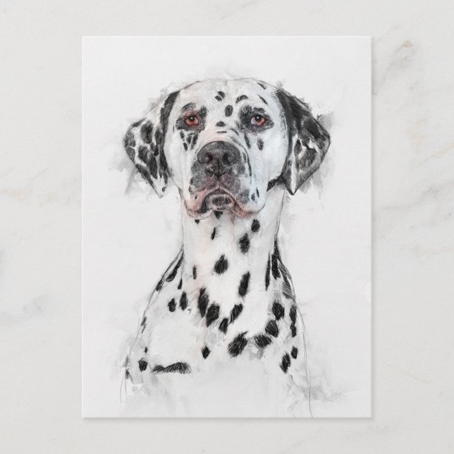 Dalmatien Hund Porträtt Vykort (Framsida)
