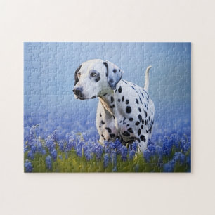 Dalmatien hund pussel