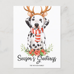 Dalmatien Hund Sessionens helgdag Helg Vykort
