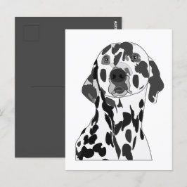 Dalmatien Hund Vykort
