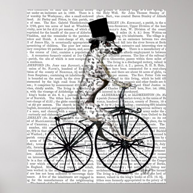 Dalmatien i Bicycle Poster (Framsidan)