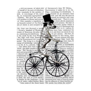 Dalmatien i cykel 2 magnet