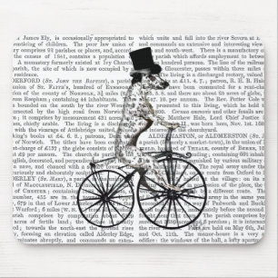 Dalmatien i cykel 2 musmatta