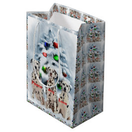 Dalmatien jul