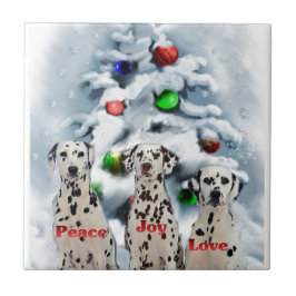 Dalmatien jul kakelplatta