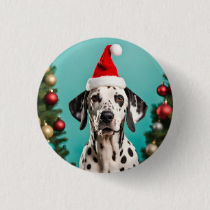 Dalmatien jul knapp