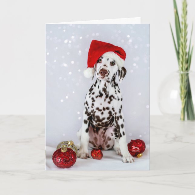 Dalmatien jul kort (Framsida)