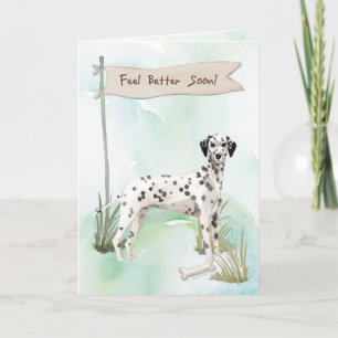 Dalmatien känner sig bättre efter kirurgi med Hund Kort
