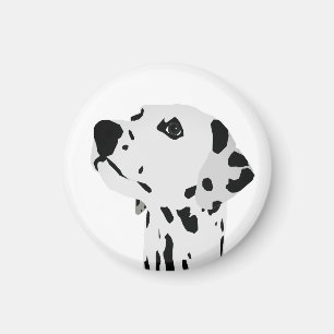 Dalmatien Kärlek Magnet